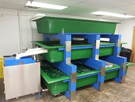 Lobster Tanks 1004652_460274367401923_1049049009_n
