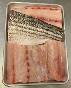 Wild Rockfish