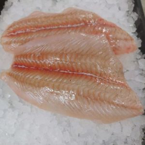 Fluke (Flounder)